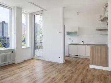 Rubroek, Gemeente Rotterdam, Zuid-Holland