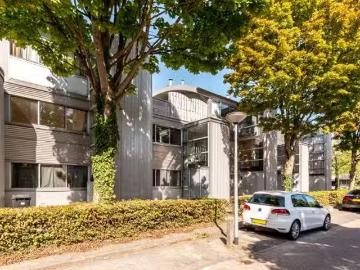 Olland, Meierijstad, Noord-Brabant