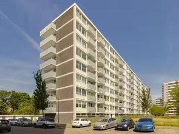 Olland, Meierijstad, Noord-Brabant