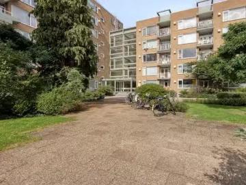 Kraayenstein, Den Haag, Zuid-Holland - Tillen