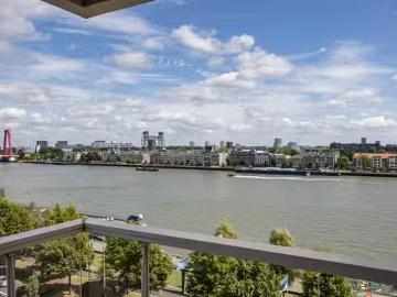 Rubroek, Gemeente Rotterdam, Zuid-Holland