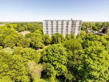 Waterlandpleinbuurt, Noord, Amsterdam, Amsterdam, Noord-Holland, Noord-Holland