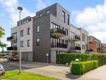 Homerusbuurt, Gemeente Rotterdam, Zuid-Holland