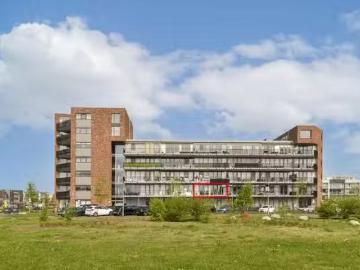 Olland, Meierijstad, Noord-Brabant - Tillen