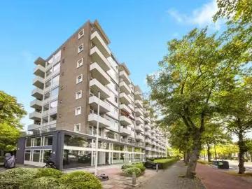 Laak, Den Haag, Den Haag, Zuid-Holland