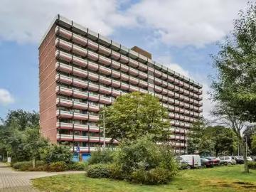 Zunderdorp, Noord, Amsterdam, Amsterdam, Noord-Holland, Noord-Holland