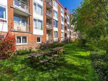 Victor Hugoplantsoen