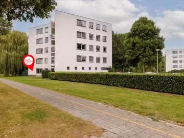 Olland, Meierijstad, Noord-Brabant - Terras