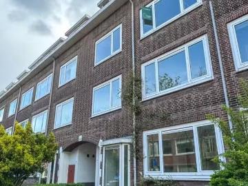 Spoorsingel, Provenierswijk, Gemeente Rotterdam, Zuid-Holland