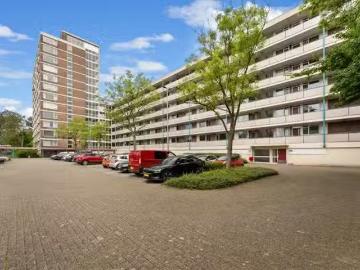 Rubroek, Gemeente Rotterdam, Zuid-Holland