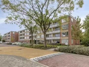 Olland, Meierijstad, Noord-Brabant - Tillen