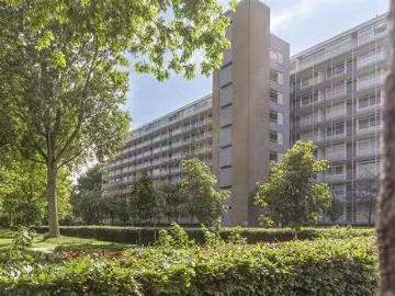 Olland, Meierijstad, Noord-Brabant - Tillen