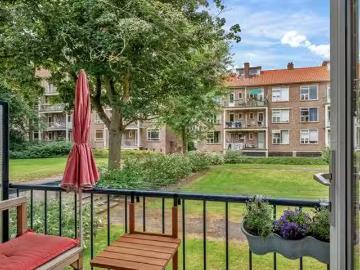 Spoorsingel, Provenierswijk, Gemeente Rotterdam, Zuid-Holland