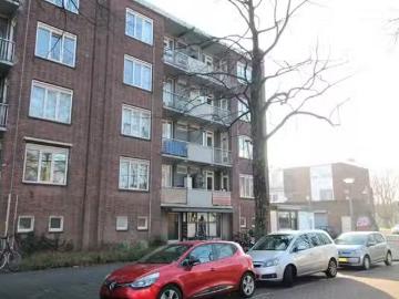Bosleeuw, West, Amsterdam, Amsterdam, Noord-Holland, Noord-Holland