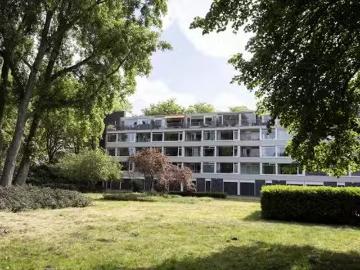 Olland, Meierijstad, Noord-Brabant