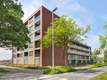 Olland, Meierijstad, Noord-Brabant
