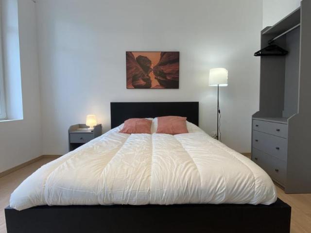 Appartement Thionville Thionville DS103153560