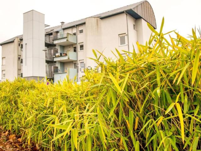 Appartement, Torcy