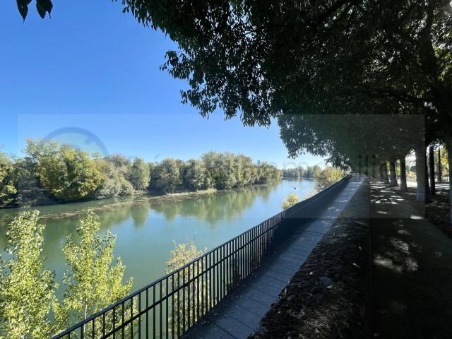 Appartement, Toulouse