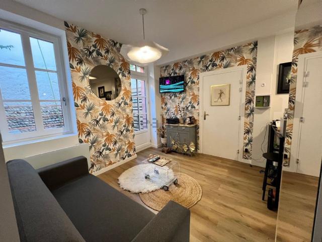 Appartement, Toulouse
