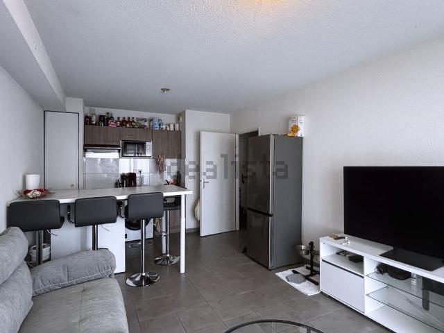 Appartement, Toulouse