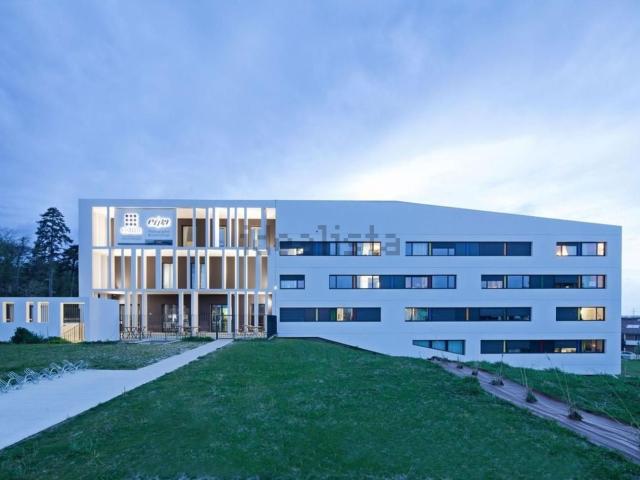 Appartement, Toulouse
