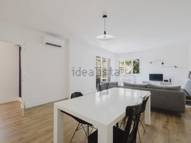 Appartement, Toulouse
