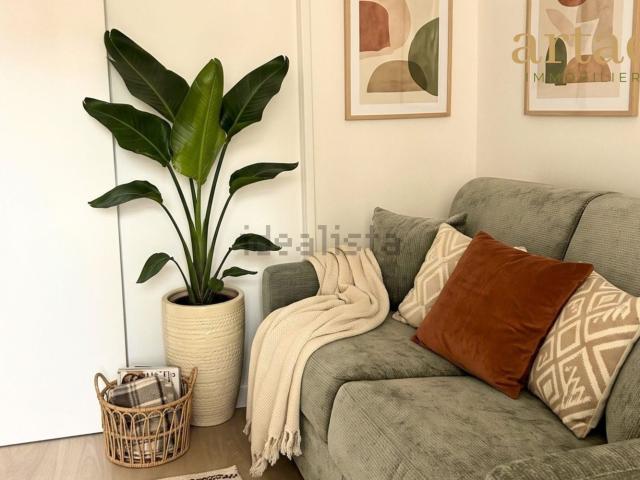 Appartement, Toulouse