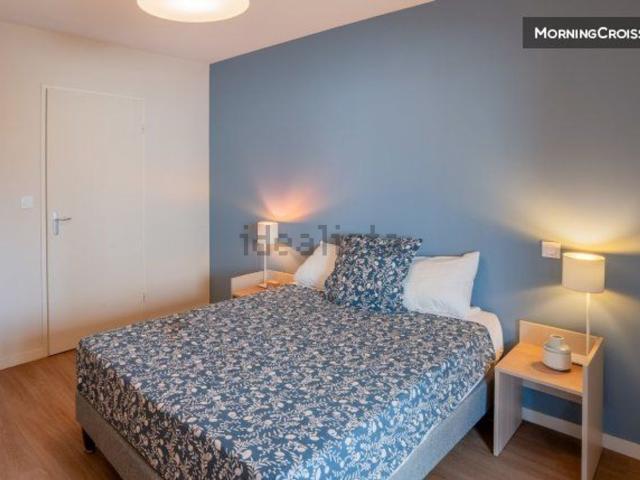 Appartement, Toulouse