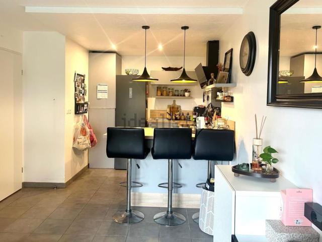 Appartement, Toulouse