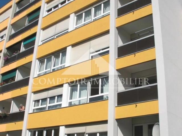 Appartement traversant avec balcon à louer à Meyrin, proche commerces Comptoir Immobilier