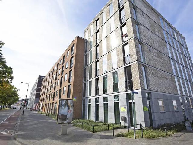 Appartement Tramsingel 23 D11, Breda À Louer