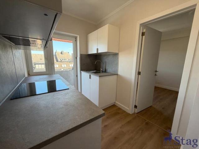 Appartement une chambre entièrement rénové, terrasse et cave