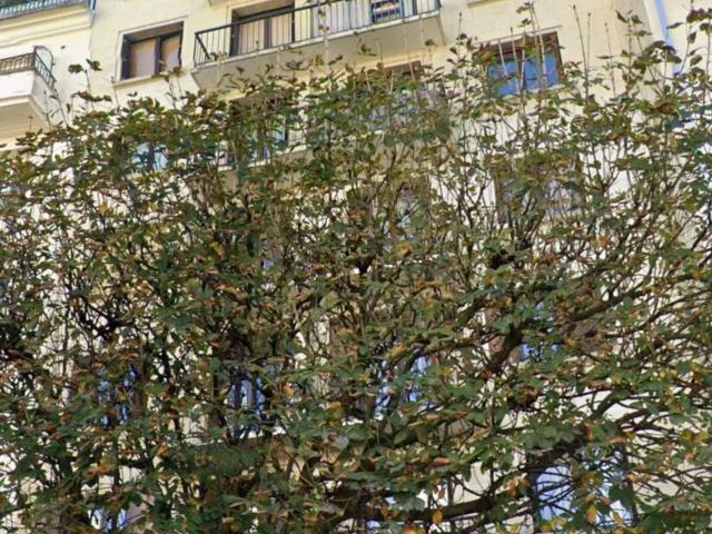 Appartement, Vincennes