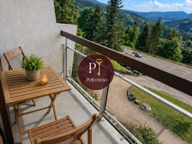 Appartement, Villard de Lans