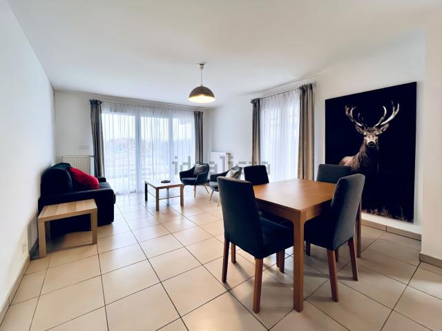 Appartement, Viuz en Sallaz