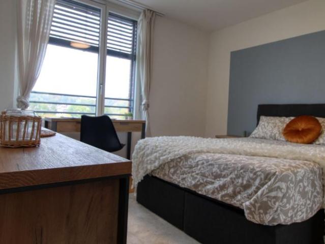 Appartement vivant spacieux à Crissier avec salle de bain privée en suite
