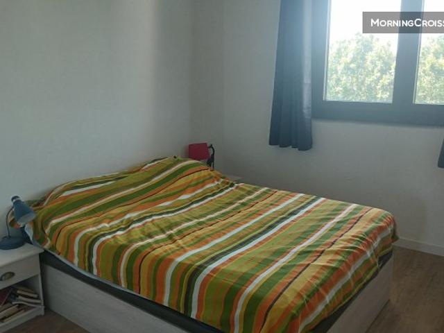 Appartement vues CanigouCorbières
