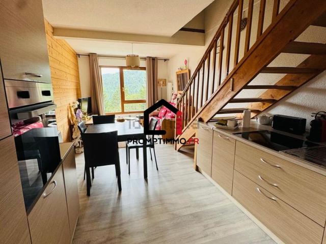 Appartement, Xonrupt Longemer