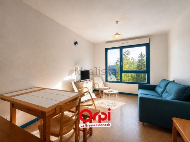 Appartement, Xonrupt Longemer