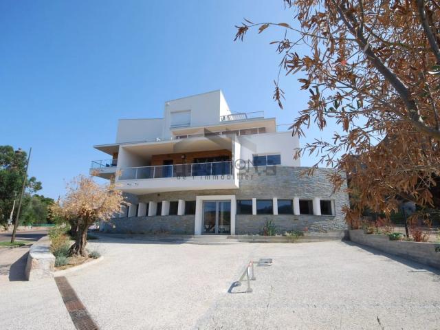 Appartement, Zonza