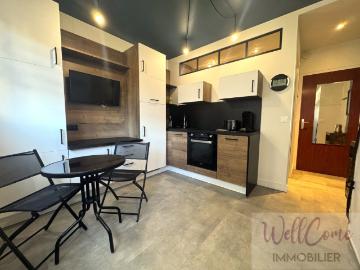 Appartement à Aix les Bains 73100, 1 pièces, de 15m² à 590 €