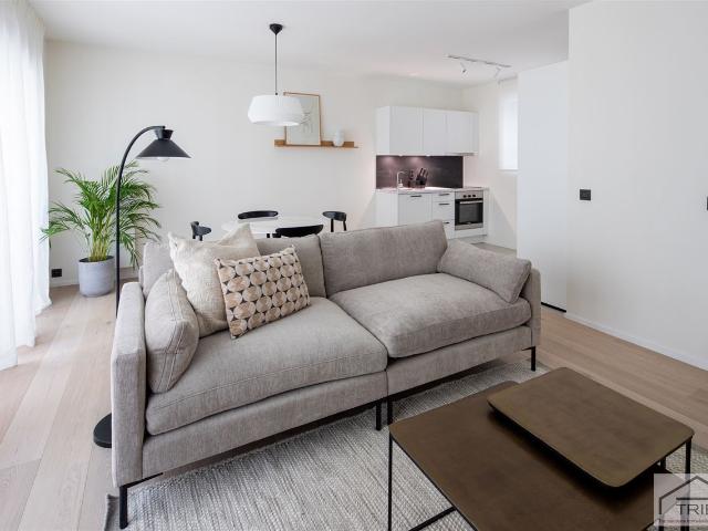 appartement à bruxelles 1000