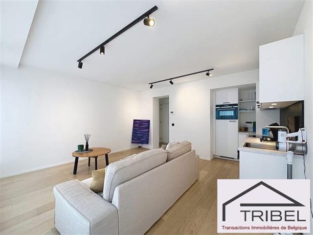 appartement à bruxelles 1000