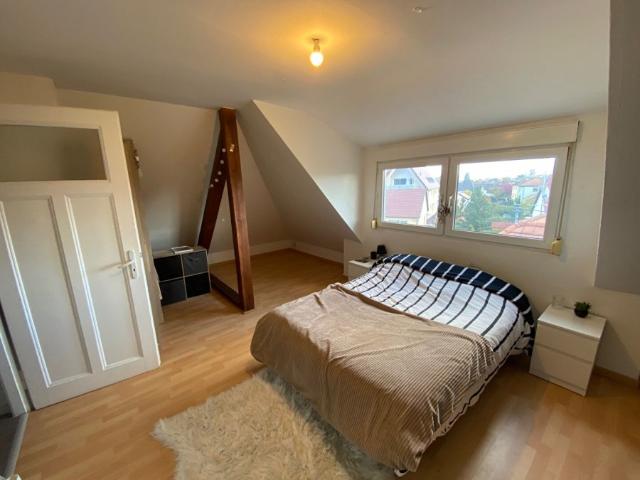 ▷ Appartement à louer • Molsheim • 39,52 m² • 700 € | immoRegion