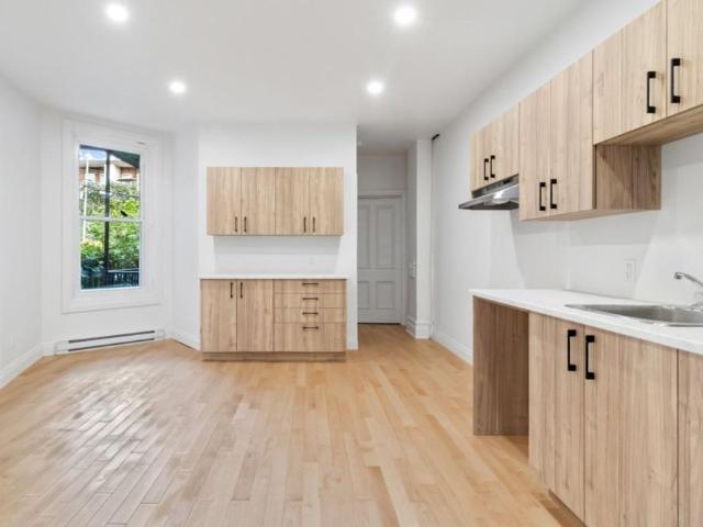 Appartement à louer Montréal Ville Marie Centre