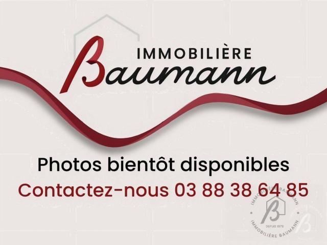 Appartement à louer OBERNAI