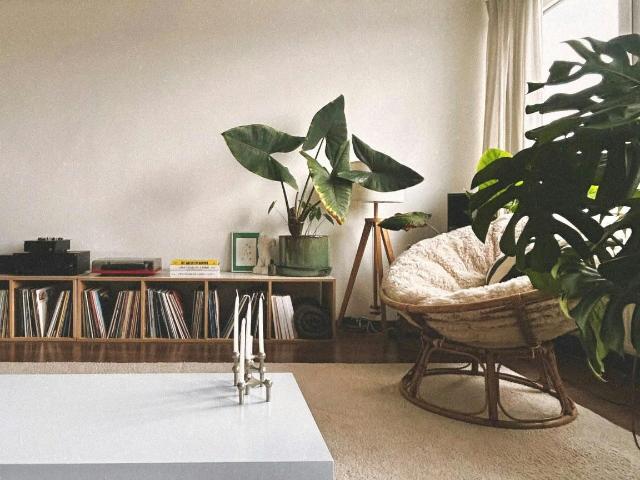 Appartement à louer à Antwerpen, Mercatorstraat