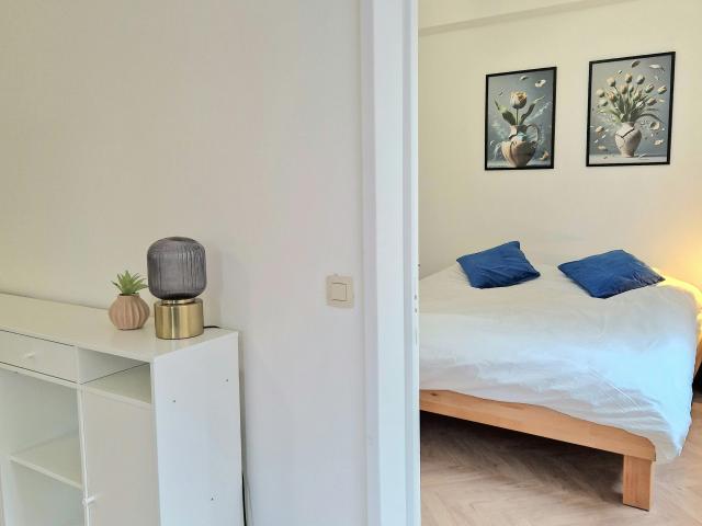 Appartement à louer à Antwerpen, Tulpstraat