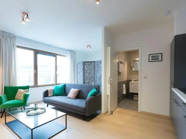 Appartement à louer à Boulevard du Neuvième de Ligne Bruxelles
